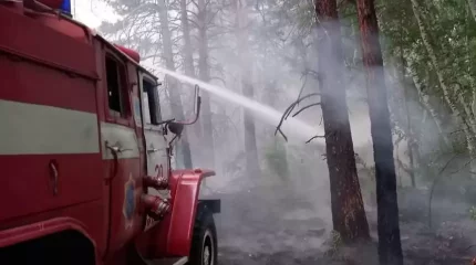 Жалын шарпыған аймақтағы үш ауылдан көшірілген 50 шақты адам Семейде тұрып жатыр