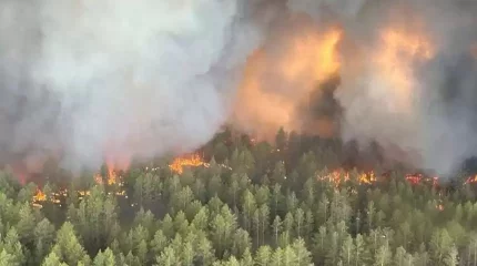 Қазақстандық банк өрттен көз жұмғандардың несиесін кешіріп, отбасына 3 млн теңгеден береді