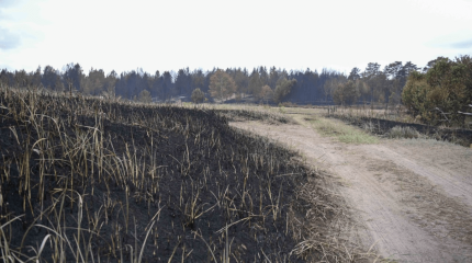 Тиісті органдар апаттың ауқымы бойынша қате болжам жасаған – Президент