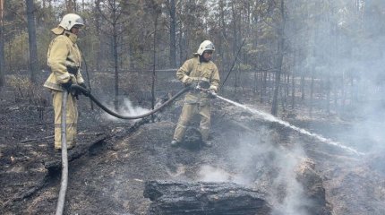 Токаев объявил выговор акиму области Абай