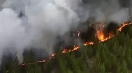 Талица ауылына қарай тараған өрт сөндірілді – министрлік