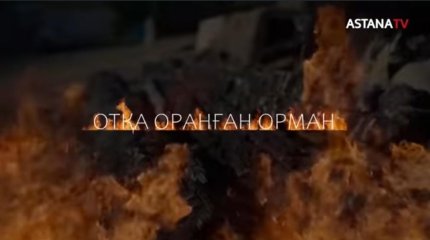 "Отқа оранған орман"