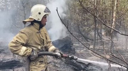 В МЧС рассказали о ситуации с лесным пожаром: она по-прежнему тревожная