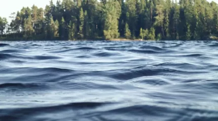 Талдықорғанның білім басқармасының экс-басшысы өзеннен өлі табылды - БАҚ