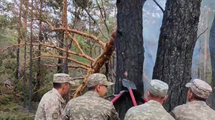 Қарулы күштердің әскери қызметшілері Абай облысындағы өртті жоюға жұмыла атсалысуда
