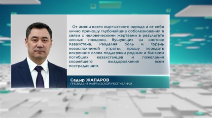 Главы государств и Международные организации выражают соболезнования Казахстану