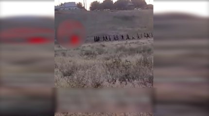 Түркістан облысында мектеп оқушылары арасында жаппай төбелес болды