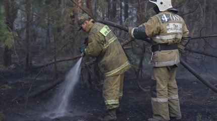 По 7 миллионов тенге получат семьи погибших лесников в области Абай