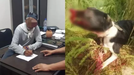 Ер адам арамен иттің тұмсығын кесіп тастаған