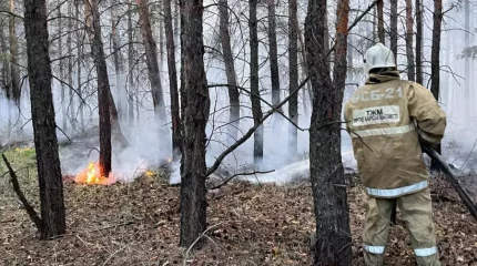 Депутат Сабильянов өртті анықтауда заманауи технологиялар мен сапалы инфрақұрылым болуы керегін айтты