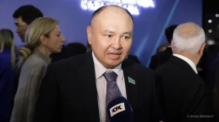 Блогерлерді салық төлеуге міндеттейтін заң Сенатқа жолданды