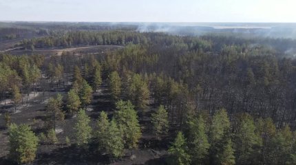 «Өртті сөндіруге адамдар неліктен жеке көлігімен барған» – депутат