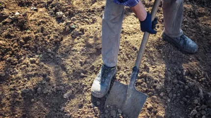 Петропавлдағы стадионнан 100 жыл бұрынғы зиратқа тиесілі адам сүйегінің қалдықтары табылды