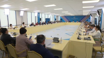 Түркістанда Ұлттық құрылтайдың екінші отырысы аясында жұмыс секцияларының отырысы өтті