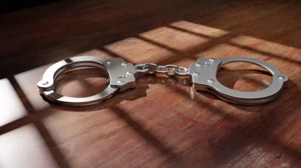 54 жастағы павлодарлық 75 жастағы енесін зорлағаны үшін кінәлі деп танылды