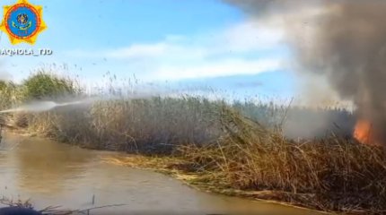 Камыш загорелся в Акмолинской области