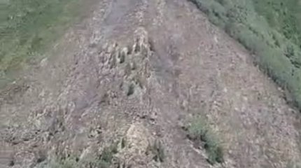 Пожар в Катон-Карагайском нацпарке локализовали