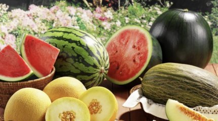 Фрукты и овощи с превышением нитратов выявили на рынках и в магазинах Казахстана