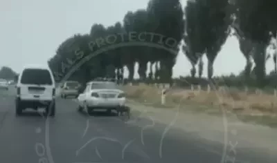 Ер адам итті көлігіне байлап сүйреген