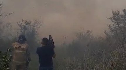 Сухостой близ Астаны тушат с утра 140 спасателей