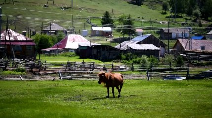 "Тұрғындардың арманы орындалды", - Әділ Сайлаубек