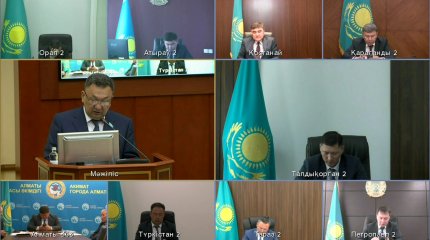 Мажилисмены возмущены частым изменением правил субсидирования в АПК