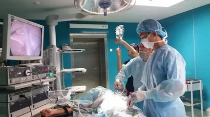 Оралда ағаштан құлап кеткен 11 жасар бала жансақтау бөлімінде жатыр