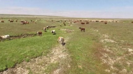 БҚО-да 50 мың гектардан астам жер мемлекетке қайтарылды