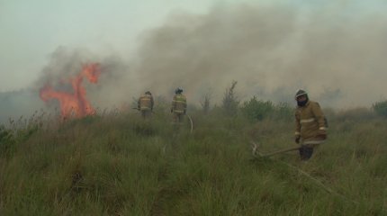 До двух недель может уйти на тушение горящего сухостоя под Астаной