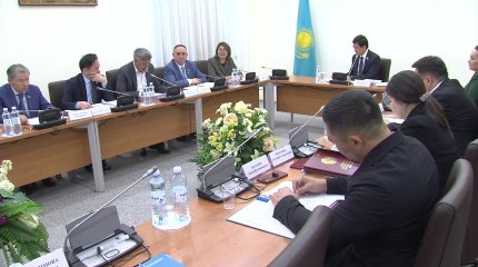 По программе ArtSport работали организаторы притонов, - депутат