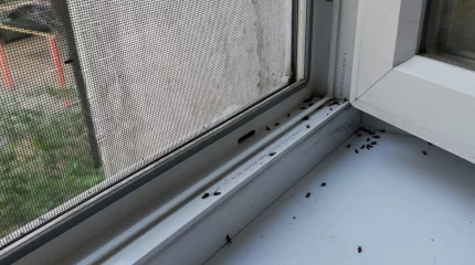 "Жергілікті билік ақша бөлмей отыр". Алматыда үйлерге ағаш қандаласы қаптады