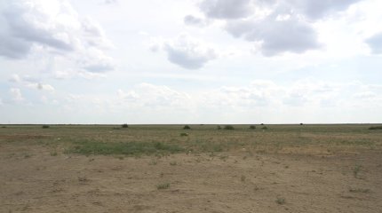 Жеке және заңды тұлғаларға 2 миллион гектардан астам жер конкурссыз берілген