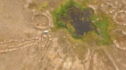 Передавать пастбища в частные руки запретят в Казахстане