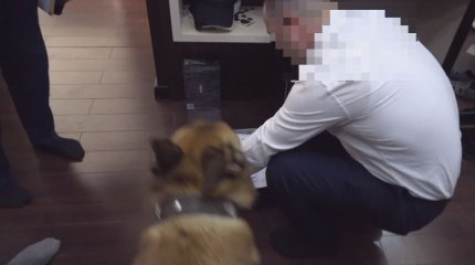 Преступную группу подозревают в хищении денег выделенных на субсидии в Костанайской области