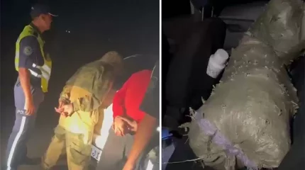 Қонаев қаласында 28 жасар жігіттен екі қап марихуана табылды