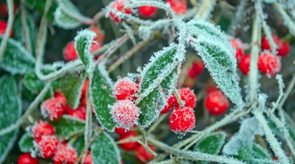 Погода на выходные: в Казахстане заморозки и дожди