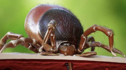 Первый в мире случай заражения человеком вируса Оз зарегистрировали в Японии