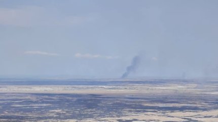 Пожар площадью в несколько тысяч гектаров произошел в Иле-Балхашском резервате