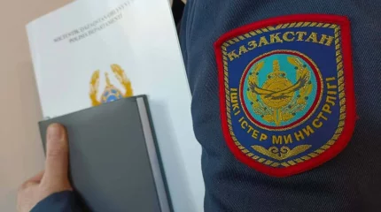 Келіні мен енесі пирамидалық схема жасағаны үшін қамалды