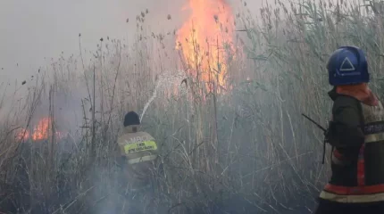 Астана маңында бір аптаға созылған өрт ауыздықталды