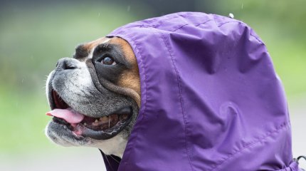 Прохлада пришла в Казахстан