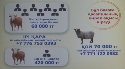 Пожертвования онлайн можно будет сделать во время праздника Курбан-Айт