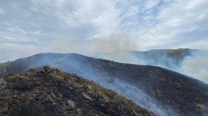 Шығыс Қазақстанда қатты желден дала өртінің беті қайтпай жатыр