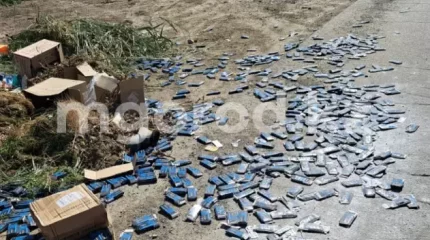 Атырауда жолда шашылып жатқан жүздеген "Парацетамол" жұртты шошытты