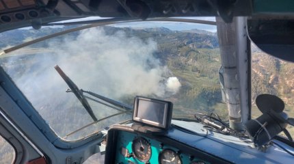 Пожар на территории Приморского лесничества в ВКО удалось локализовать