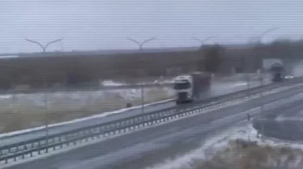 Трансұлттық есірткі тасымалдаушы топтың жолы кесілді