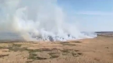 Больше недели тушат пожар в Иле-Балхашском резервате