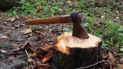 Түркістан облысында ер адам танысын балталап өлтірген