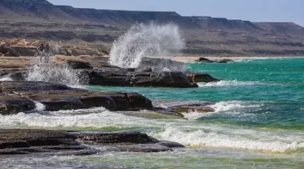 Каспийді зерттейтін маман тапшы