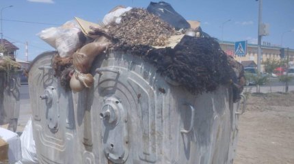 Останками жертвенных животных переполнены контейнеры в Атырау